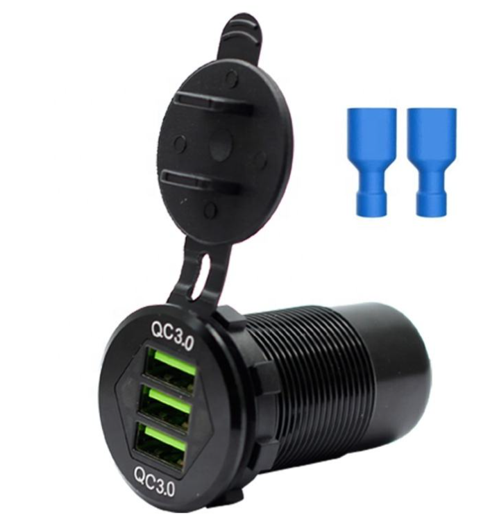 DS010L (5).png