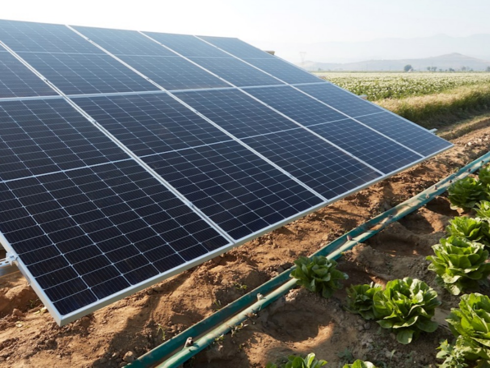 Top 7 Reasons Overseas Buyers Choose Wholesale ZRI Solar Pumps