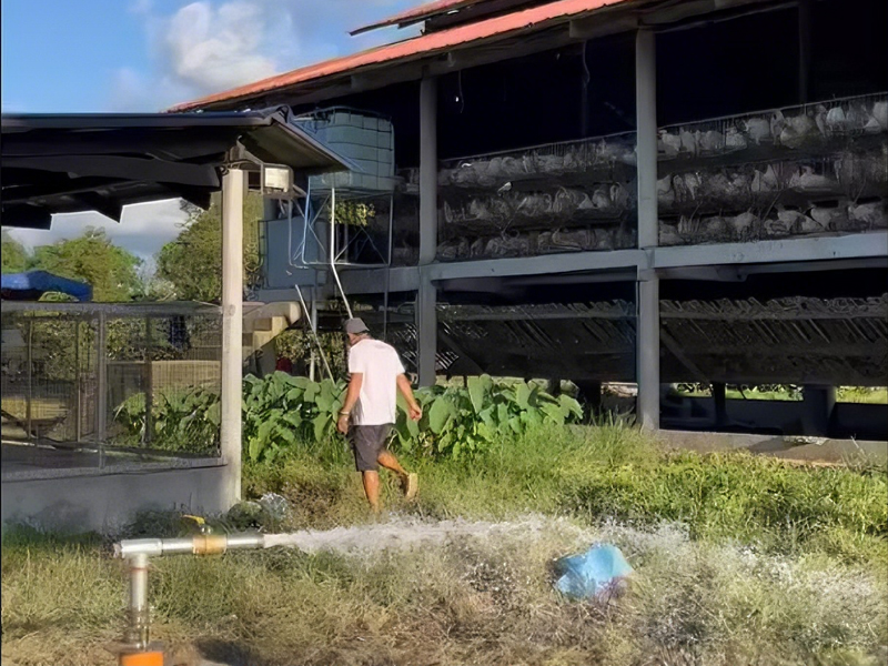 Asien Philippinen | DC 2 PS Solar-Tauchpumpe