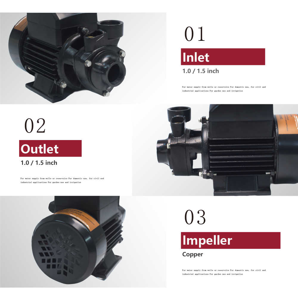 SSQB Solar-Powered Peripheral Surface Pump Solar Water Pump with MPPT Controller for Drinking Water