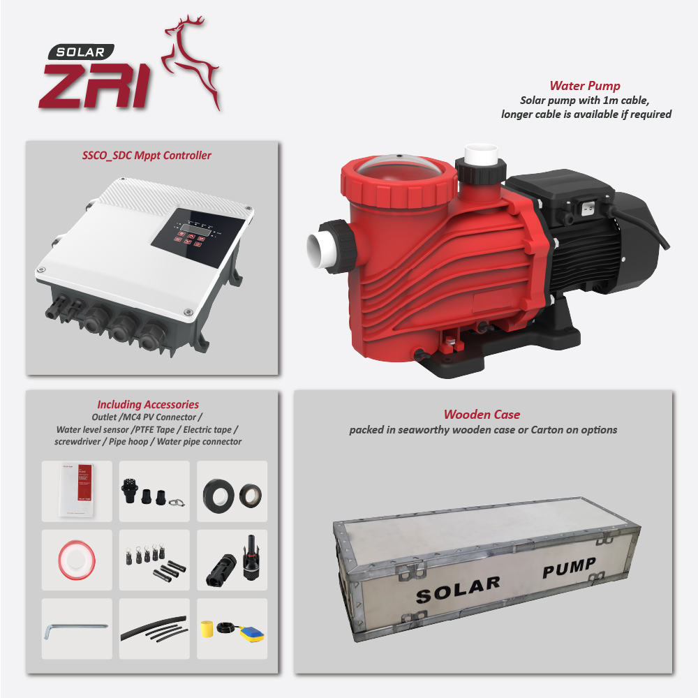 4-ZSSP-ADHY_5.jpg