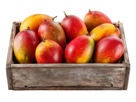 harvest.jpg