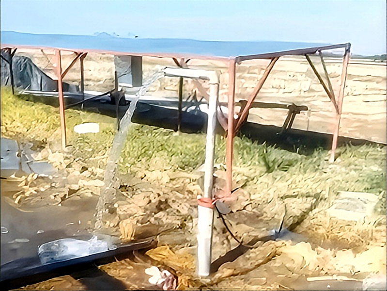 Asia Philippine | AC/DC Hybrid 3HP Solar Submersible Pump