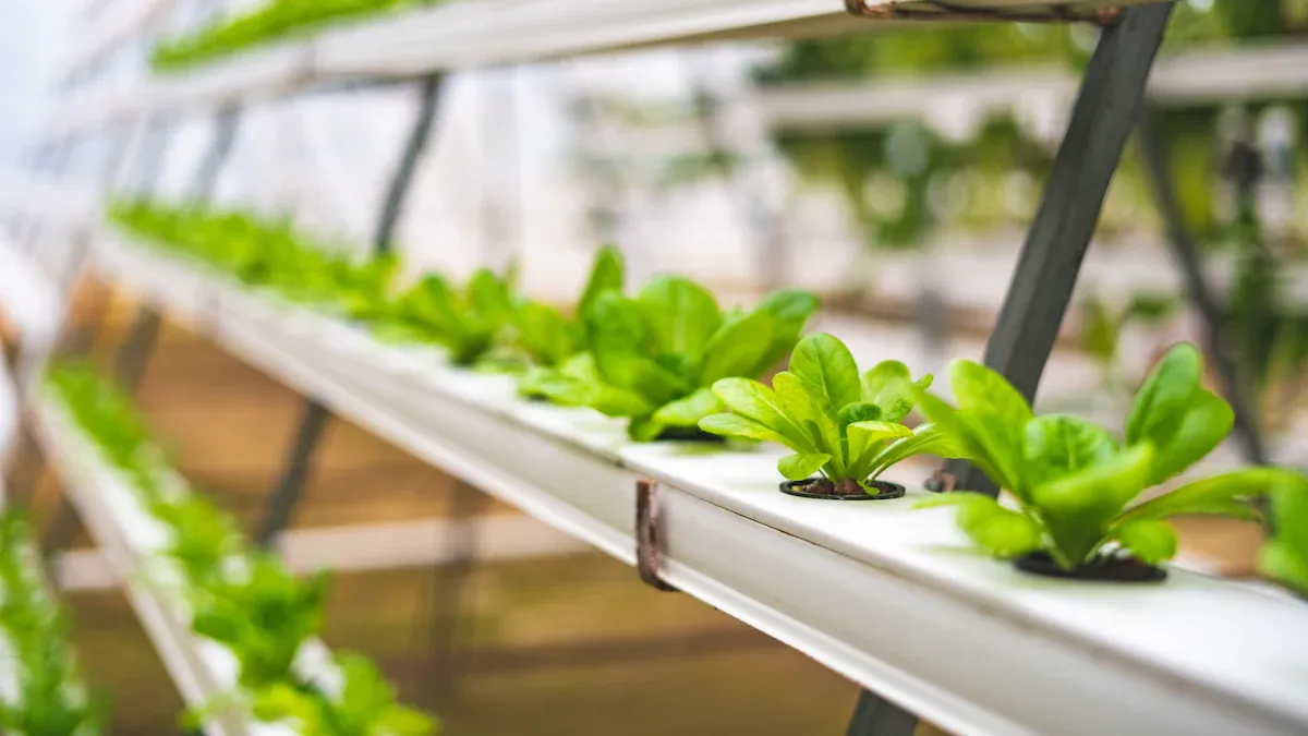 Quick Fixes for Abnormal EC Level Fluctuations in Hydroponic Nutrients