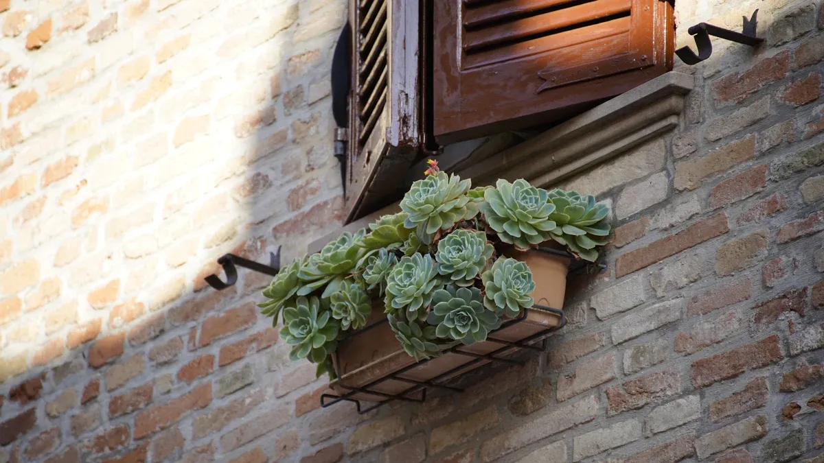 Best Drought-Resistant Succulent Species for Outdoor Vertical Gardens in Arid Climates