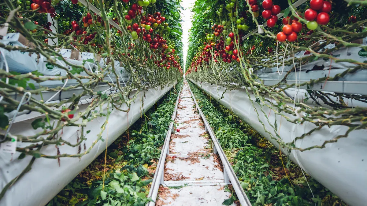 3D Vertical Growing Rack Designs for Greenhouse Strawberries