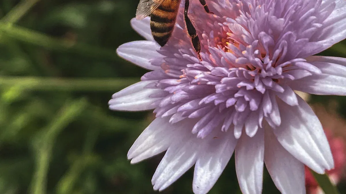 Pollinator-Friendly Native Plant Combinations for Balcony Green Walls