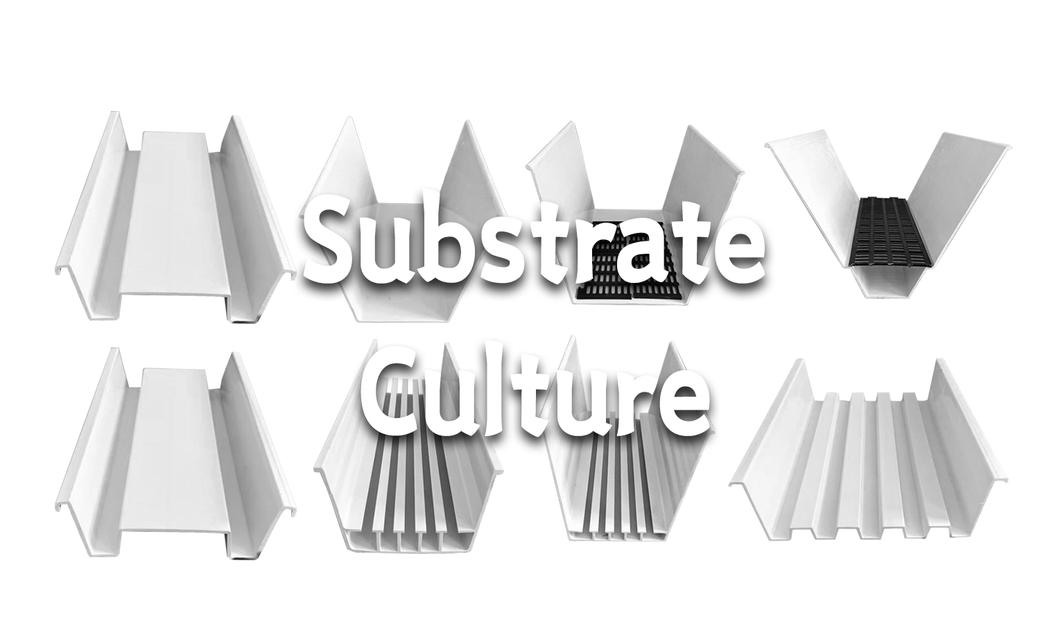 Substrate Culture