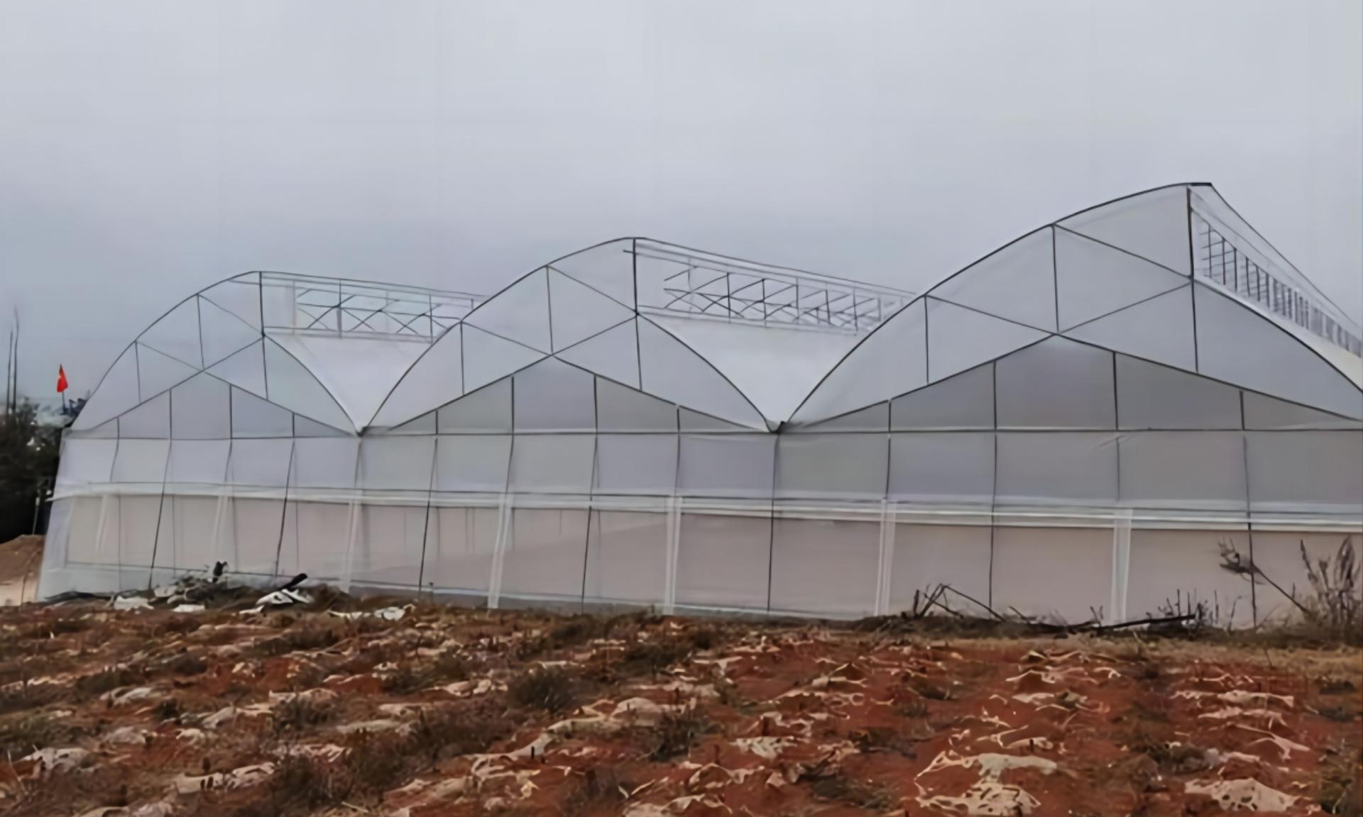 Premium Sawtooth Greenhouse: Optimizing Growing Conditions