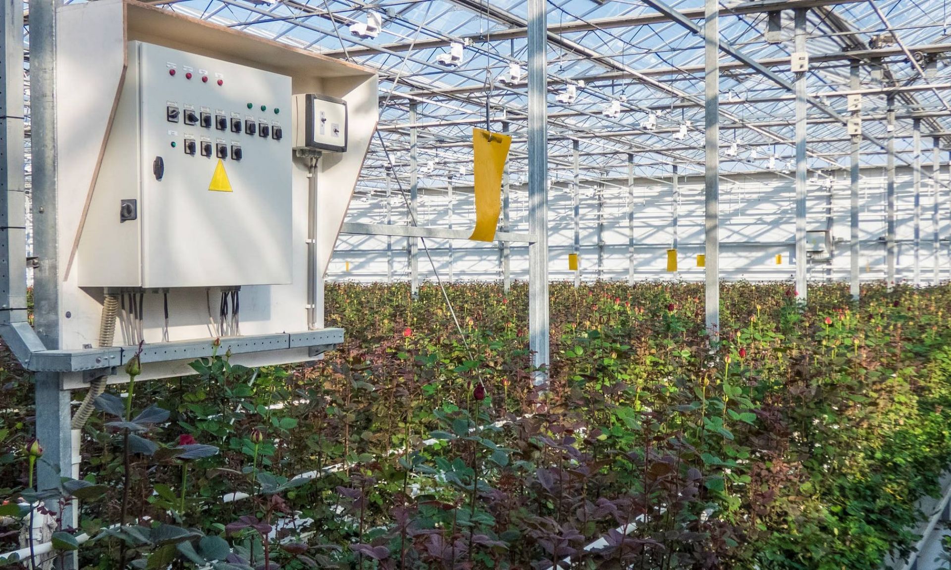Smart IoT Systems: Efficient Agricultural Management
