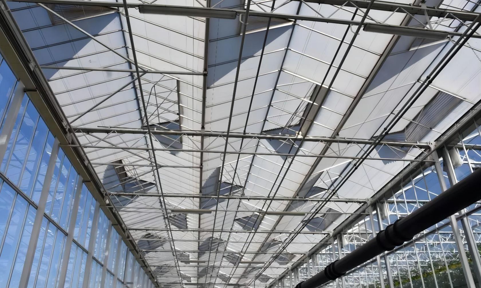 The Dutch Greenhouse Model in Modern Farming