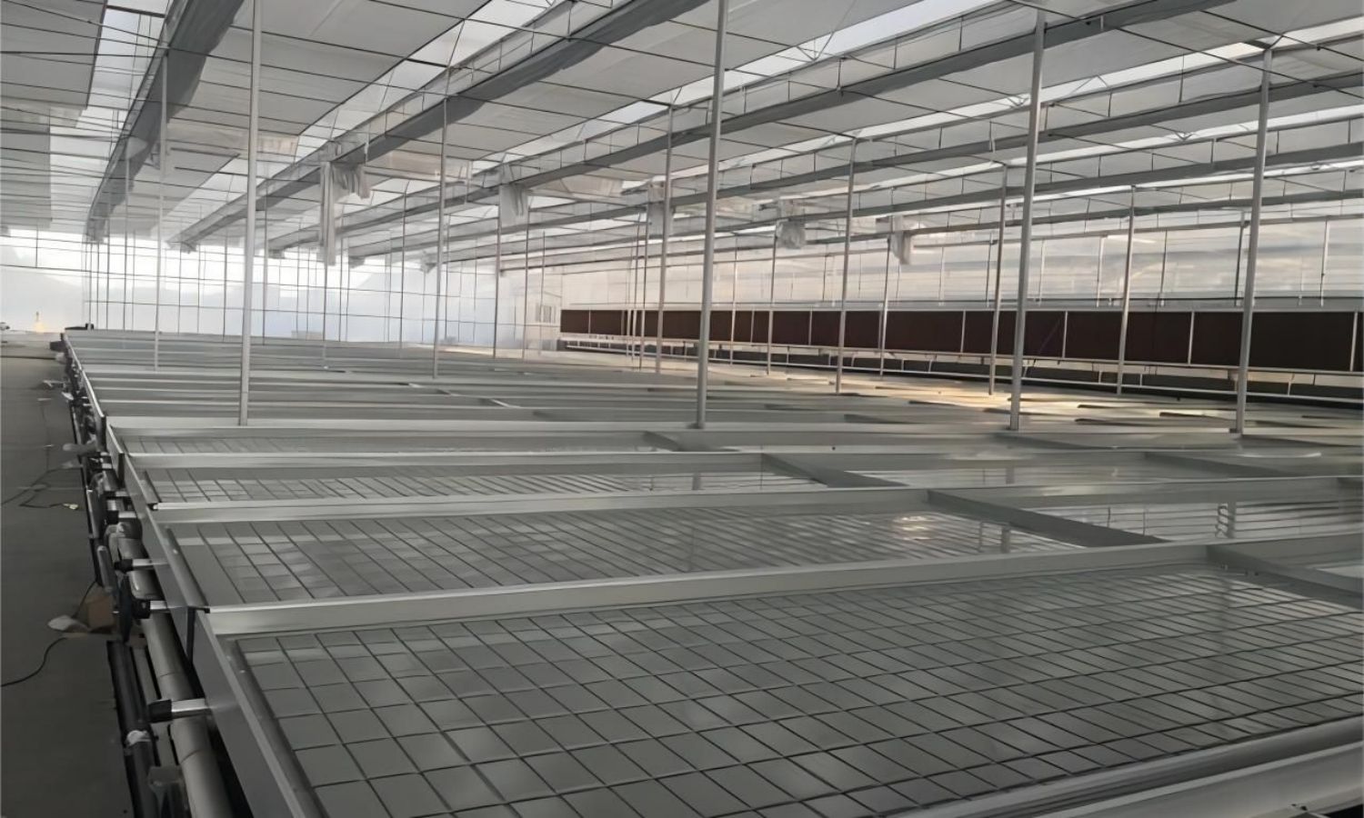 Ebb and Flow System: Efficient Hydroponic Farming