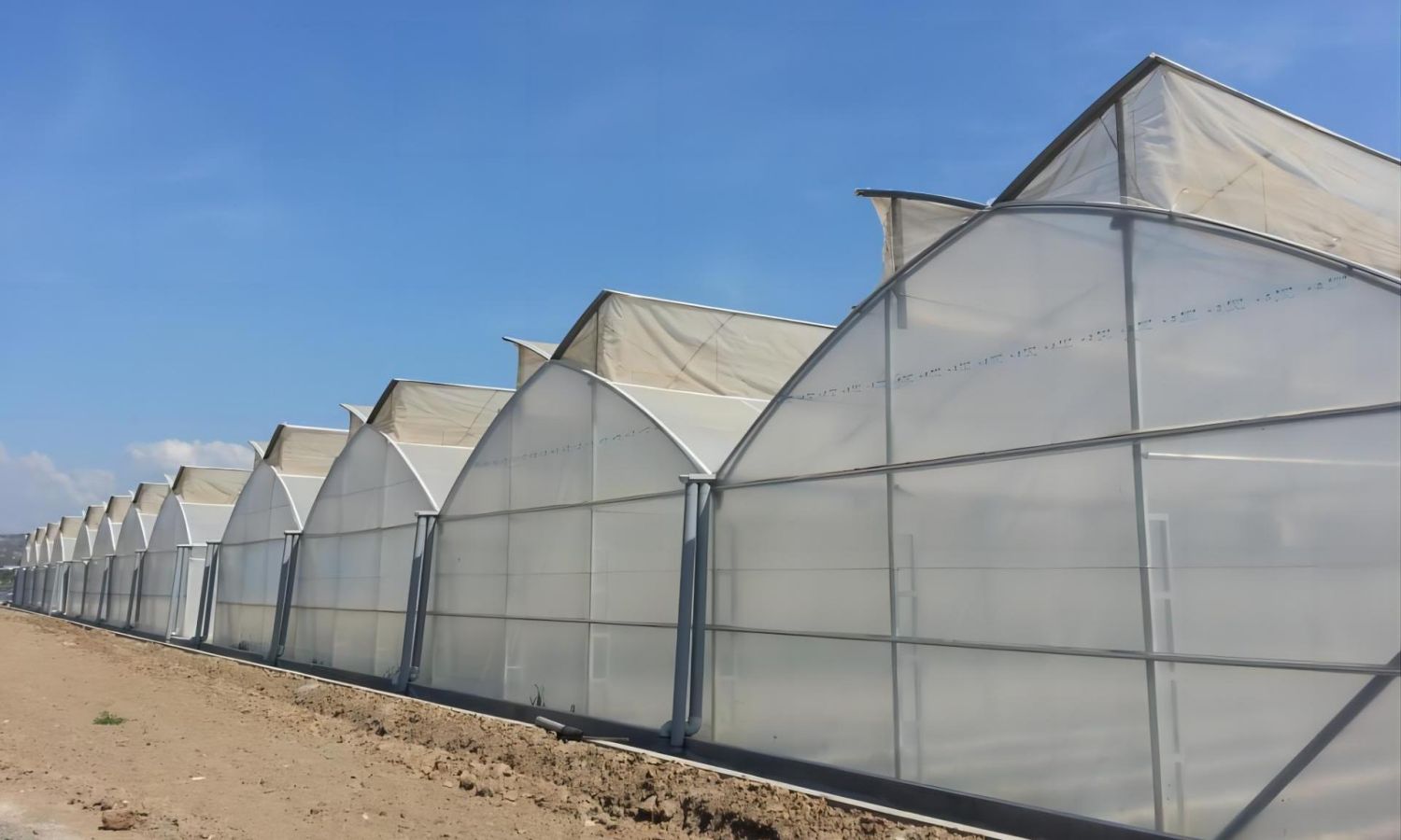Gothic greenhouse: Innovative Design for Efficient Cultivation