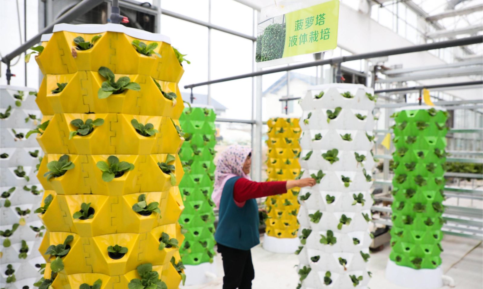 Vertical hydroponic towers