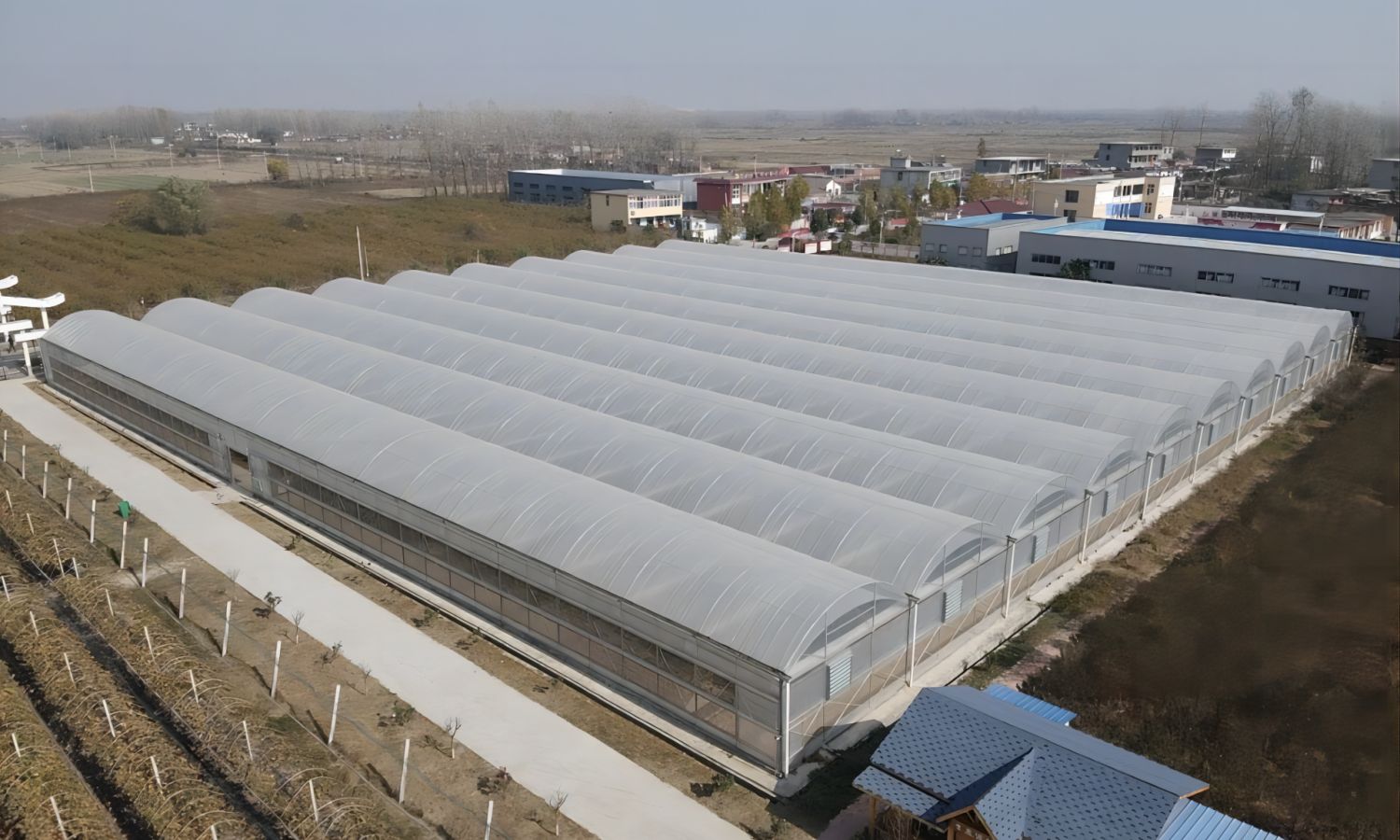Robust Tunnel Greenhouses: Transforming Vegetable Agriculture