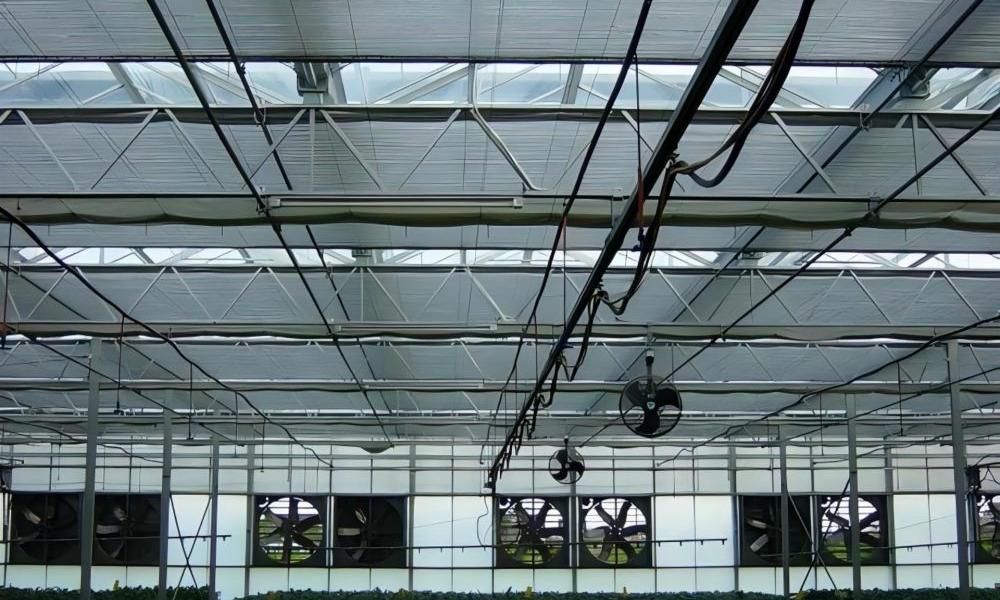 Efficient Ventilation Systems: Optimal Greenhouse Climate