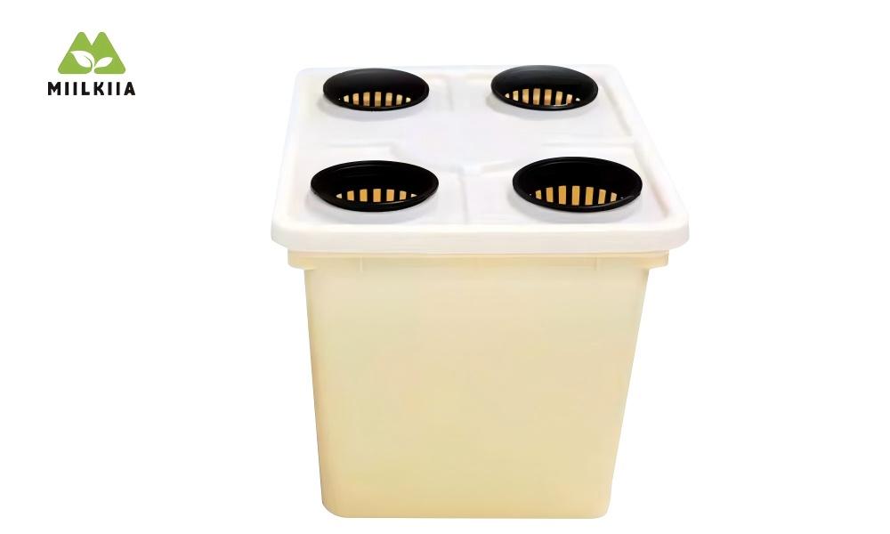 Dutch Buckets