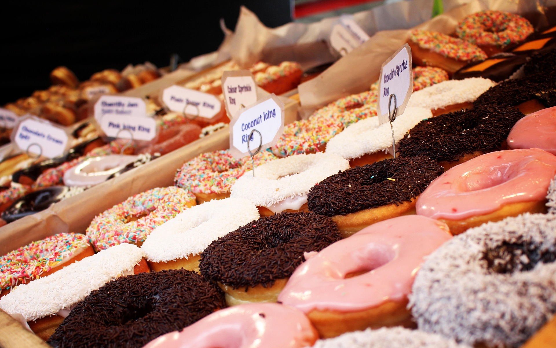 doughnuts-4708891_1920 (1)
