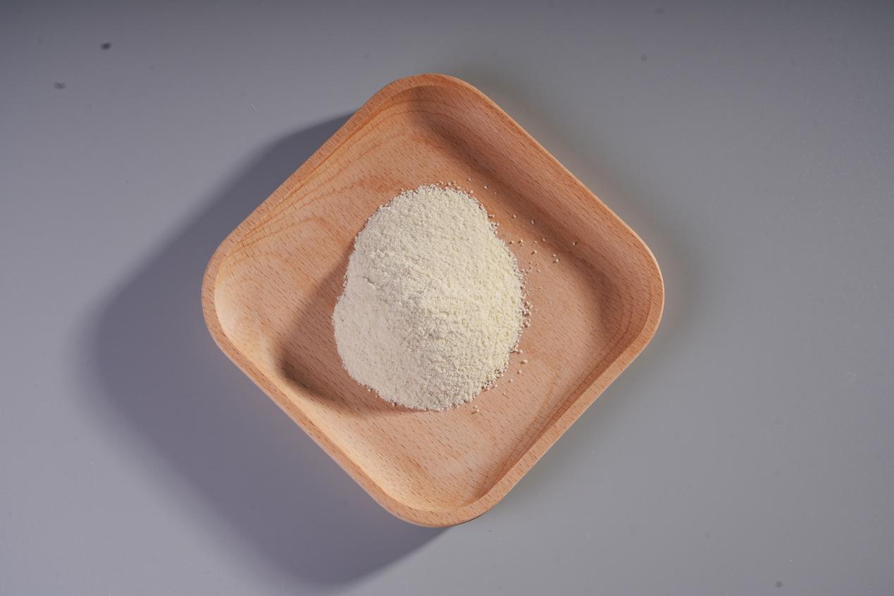 Bifidobacterium longum subspnew