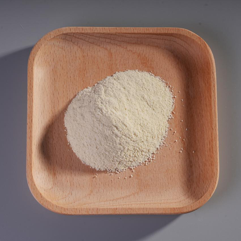 Lacticaseibacillus paracaseid0l