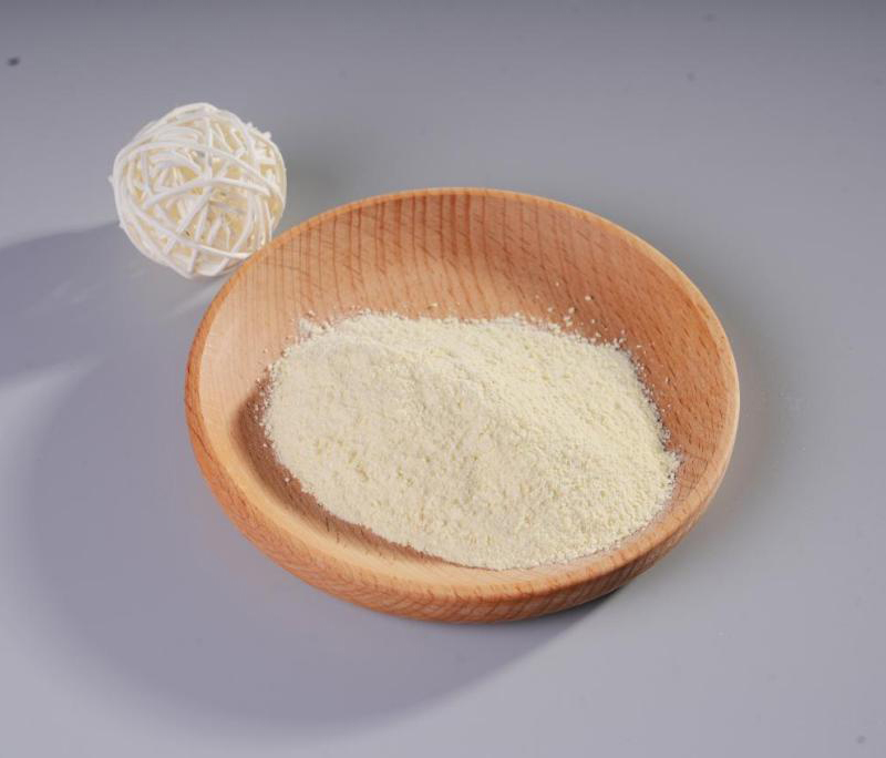 Limosilactobacillus fermentumx93