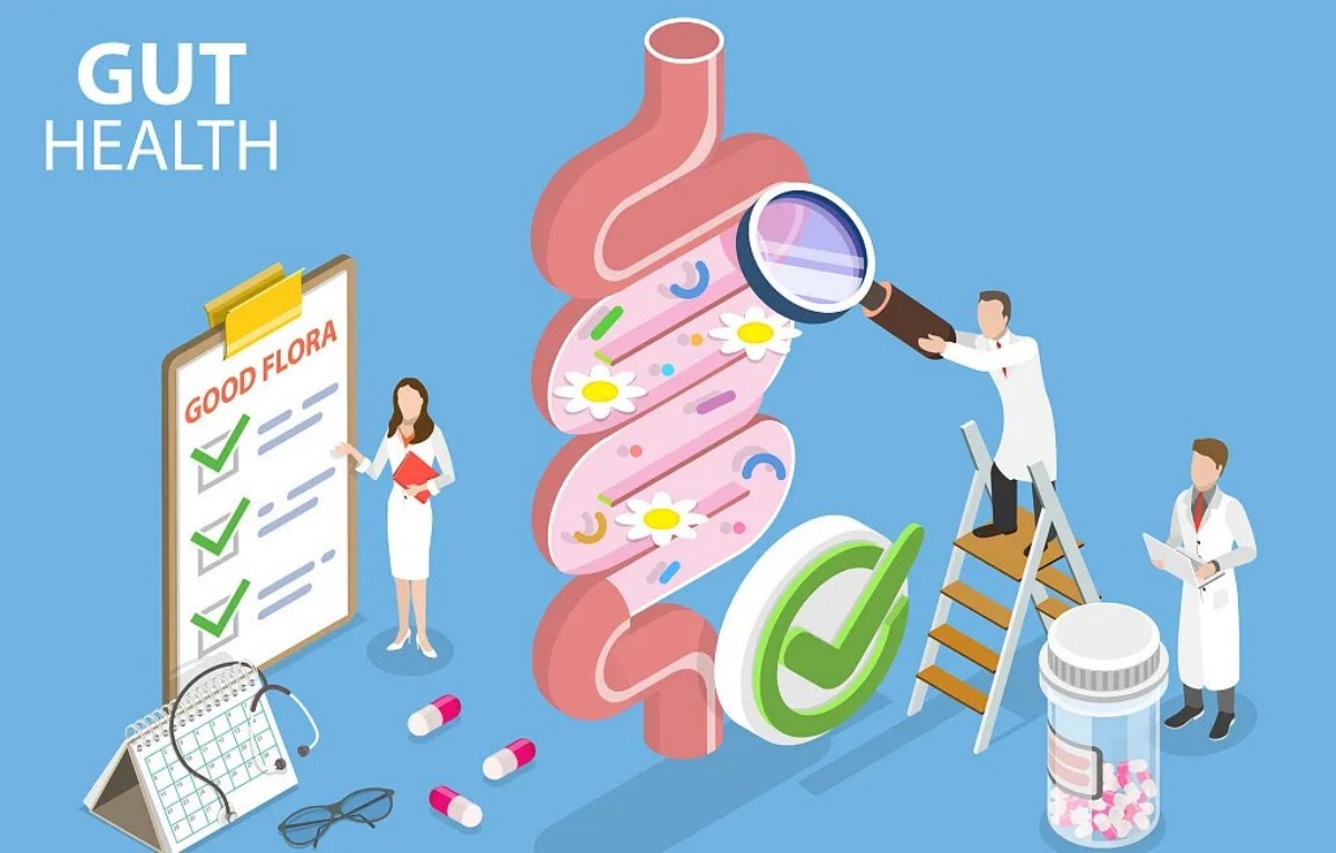 The gut is the origin of all diseases