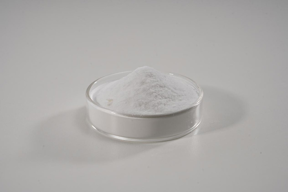 Lacticaseibacillus paracasei X11/Pet Probiotics powder