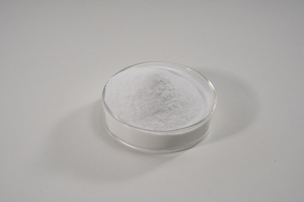 Lacticaseibacillus paracasei G15/Pet Probiotics powder