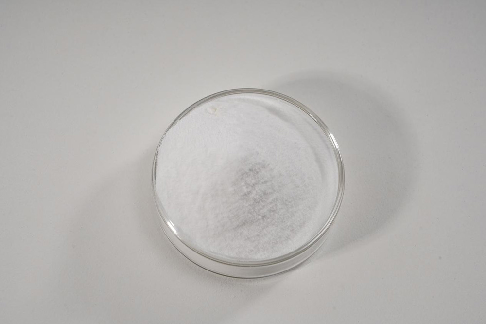 Lactiplantibacillus plantarum F3-2/Pet Probiotics powder