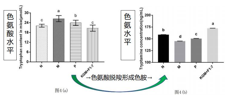 图片 2.jpg