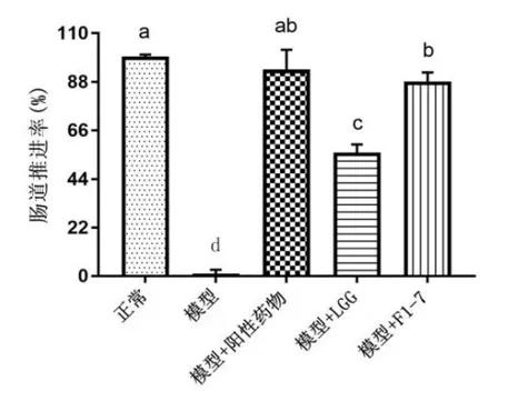 Intestinal Propulsion Effect of F1-7.jpg