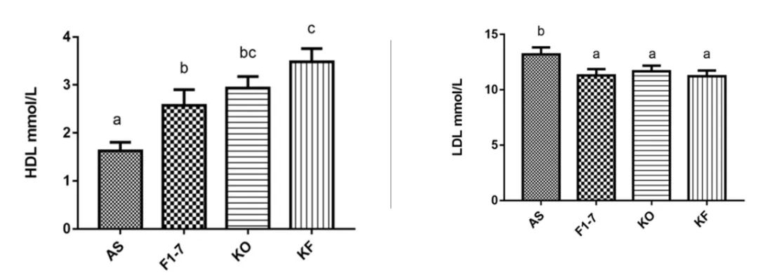 Gut microbiota aids in lowering blood lipids!