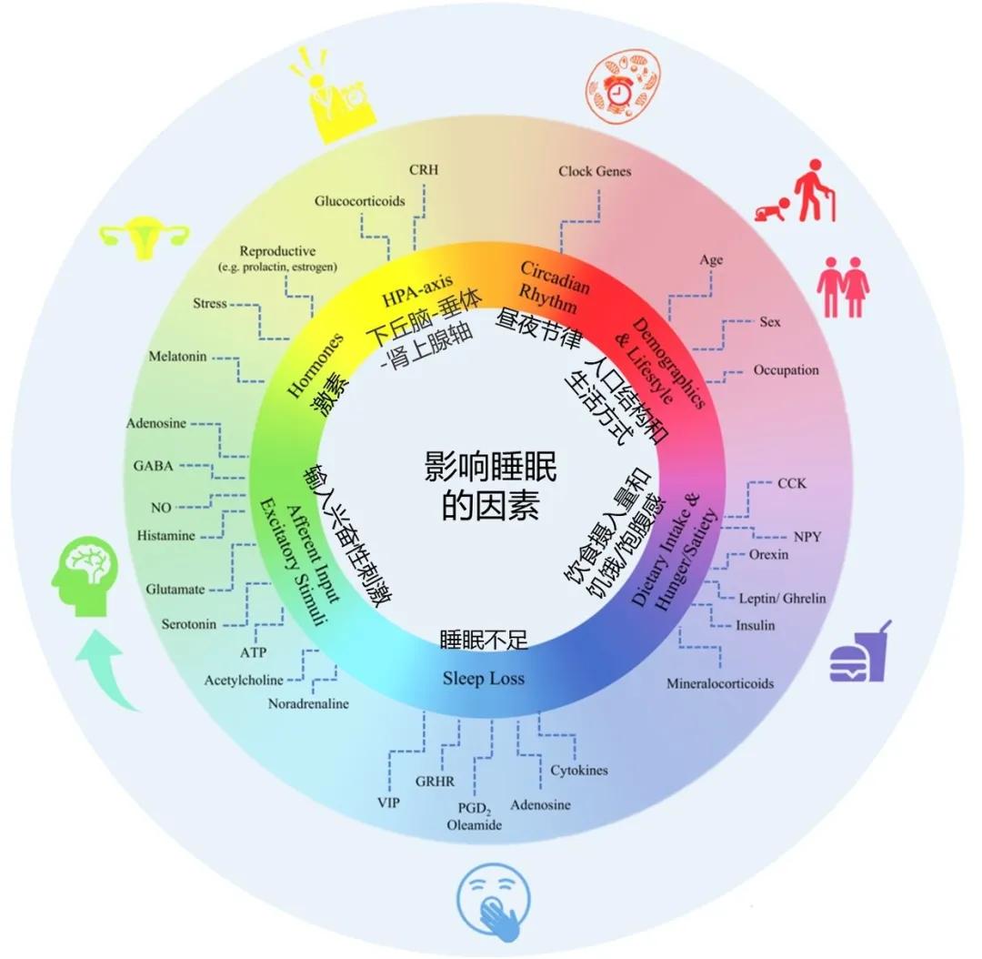 图片 3.jpg