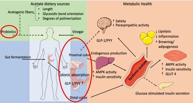 How to Apply the Brakes to a Sweet Storm Out of Control?