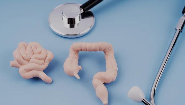 Bioyitech’s Lacticaseibacillus paracasei X11 Scientific Trials on the Intervention of Hyperuricemia