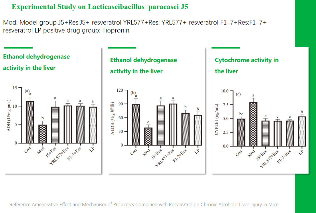 4Bifidobacterium animalis subsp.