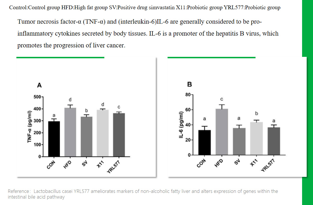 5Bifidobacterium animalis subsp.