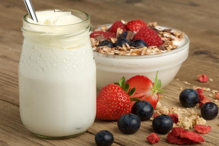 Starter Cultures for Food Applications