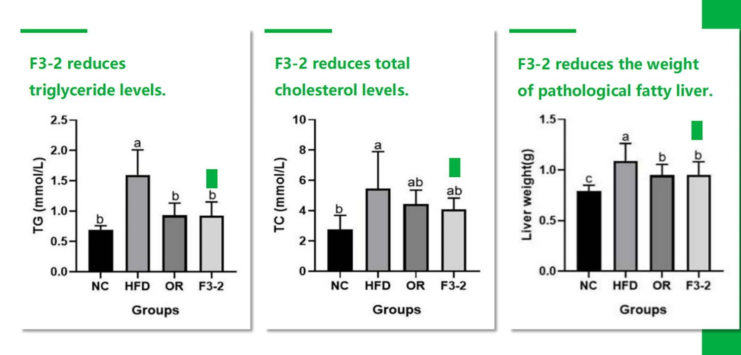 Experimental Study on Lactiplantibacillus plantarum F3-2