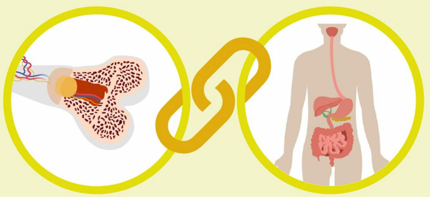 Bone Health3