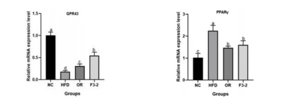 Lactobacillus plantarum F3- 2.png