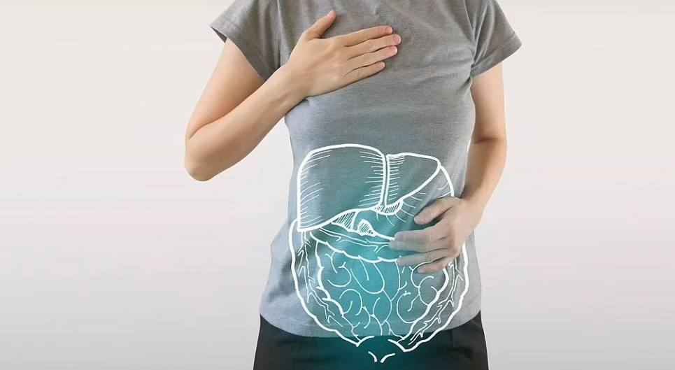 Patent Decryption: Mechanisms of Lactobacillus plantarum F3-2 in Targeted Amelioration of Obesity