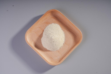 Lacticaseibacillus paracasei X11 Probiotics Powder