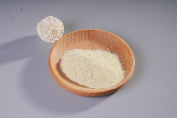 Lacticaseibacillus casei YRL577 Probiotics Powder