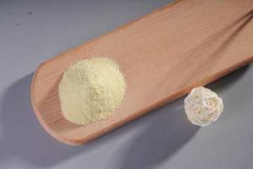 Lactiplantibacillus plantarum YZX21 Probiotics Powder