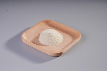 Streptococcus salivarius subsp.thermophilus