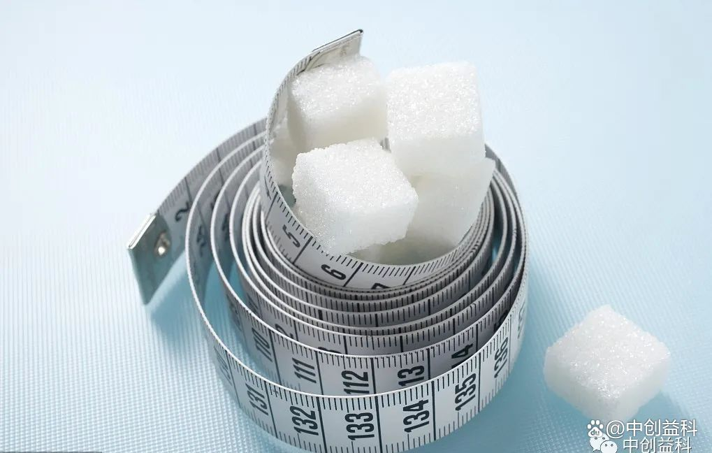 Probiotics are closely related to metabolism