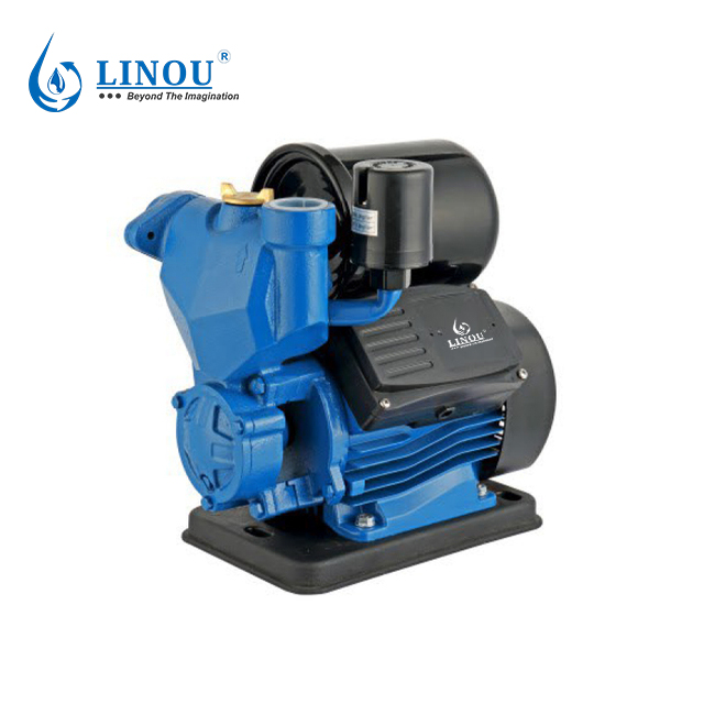 Clean Self Priming Water Pump VWZB