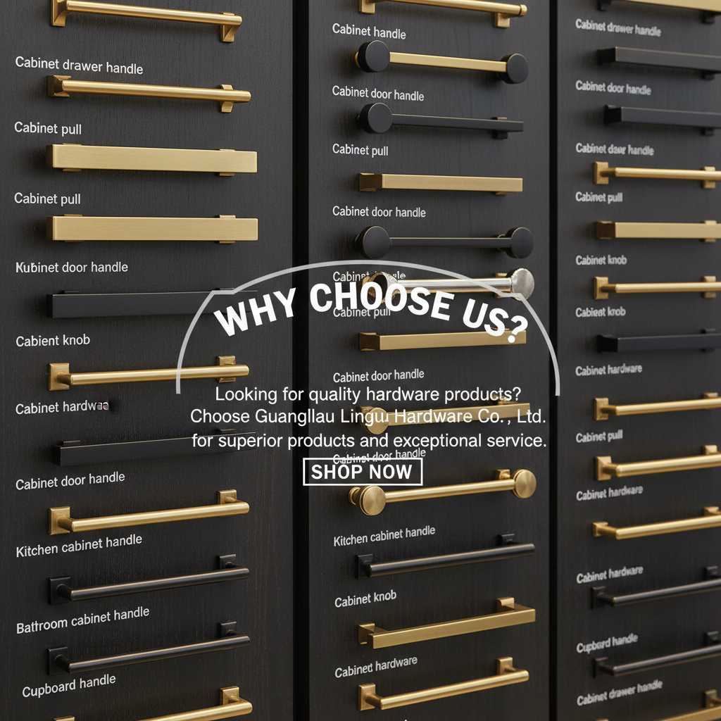 Why Choose Us?
