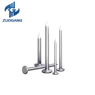 Zuogang Wholesale Galvanized Polished Common Na...